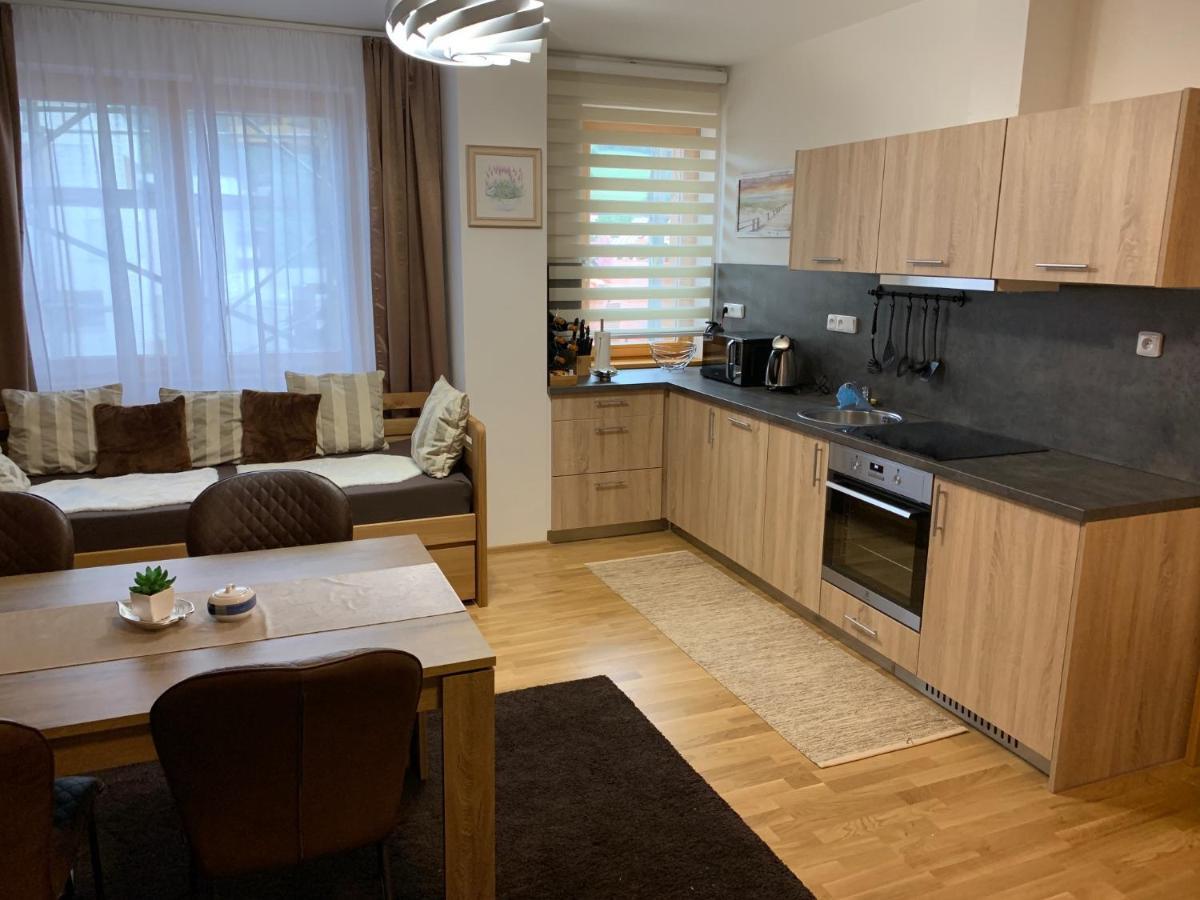 Apartmany Rezidence Klostermann & Javor Железна-Руда Экстерьер фото